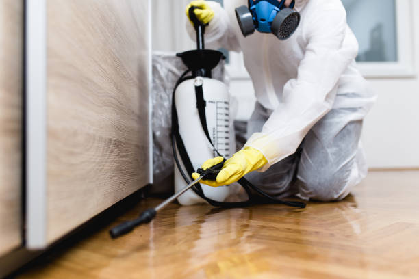 Best Affordable Pest Control Services  in Smithsburg, MD