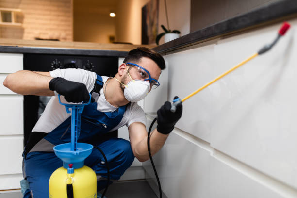 Best Pest Prevention Services  in Smithsburg, MD