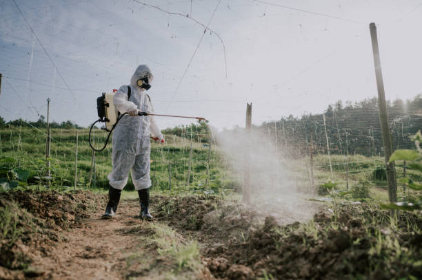 Best Pest Prevention Services  in Smithsburg, MD