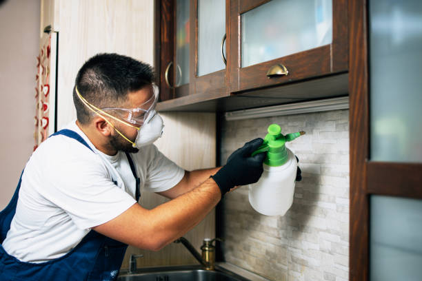 Best Pest Control Near Me in Smithsburg, MD