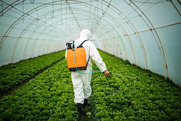Best Commercial Pest Control Services  in Smithsburg, MD