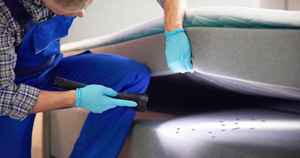 Best Best Pest Control Companies  in Smithsburg, MD