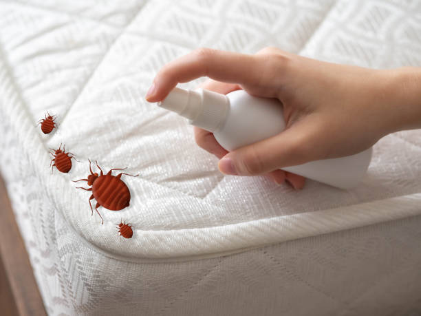 Best Residential Pest Control  in Smithsburg, MD