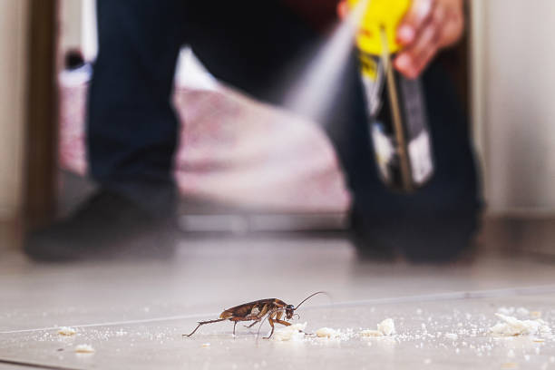 Best Cockroach Control Services  in Smithsburg, MD