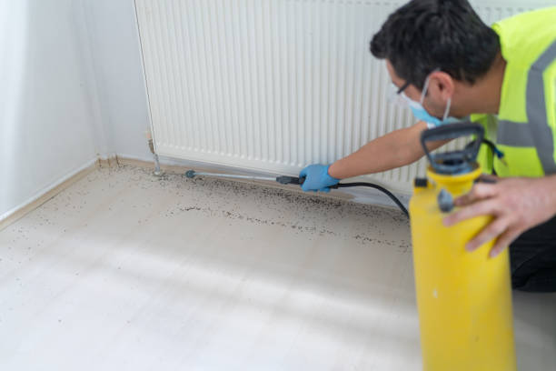 Best Local Pest Control Services  in Smithsburg, MD