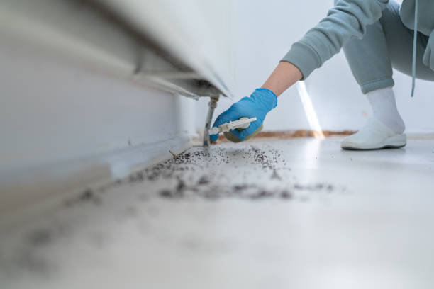 Best Cockroach Control Services  in Smithsburg, MD