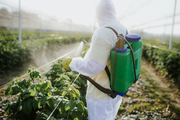 Best Pest Removal Services  in Smithsburg, MD